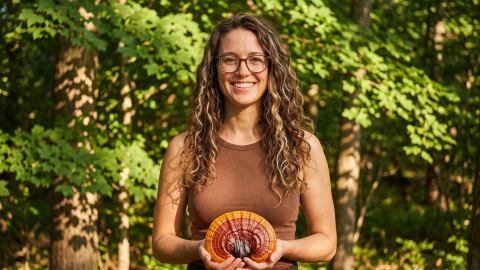 Fascinujúca Reishi  (Ganoderma lucidum)