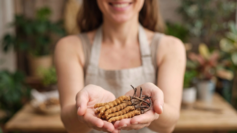 Cordyceps sinensis s neskutočným životným cyklom